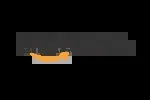Amazon company icon